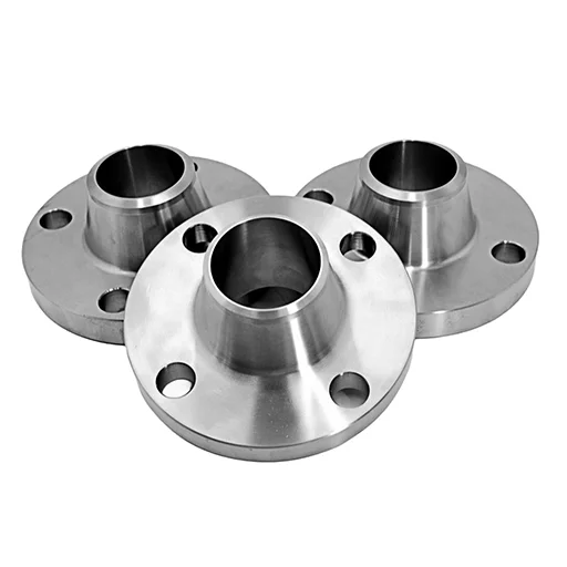 SS 304 Flanges